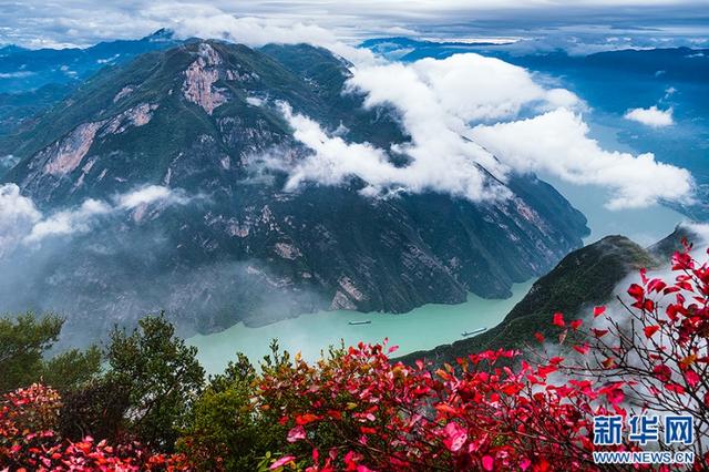 巫山红叶红了！一览三峡独有秋冬盛景