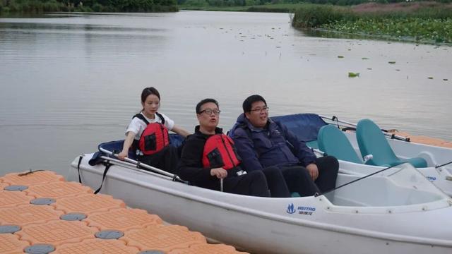 崇明“国际湿地城市”24小时：白天跑马拉松，晚上遇扬子鳄、看银河，太治愈了！