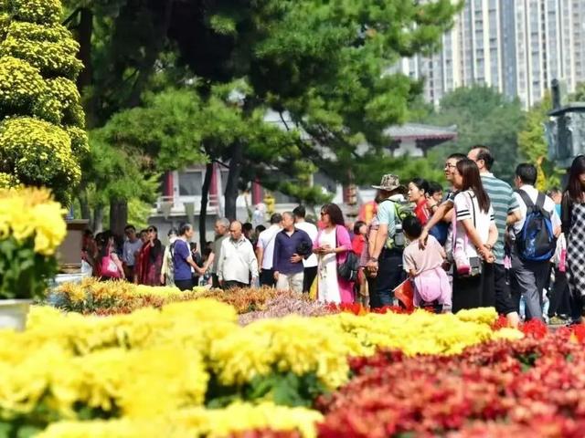 精彩抢先看，不愧是洛阳人最爱的秋日盛会！