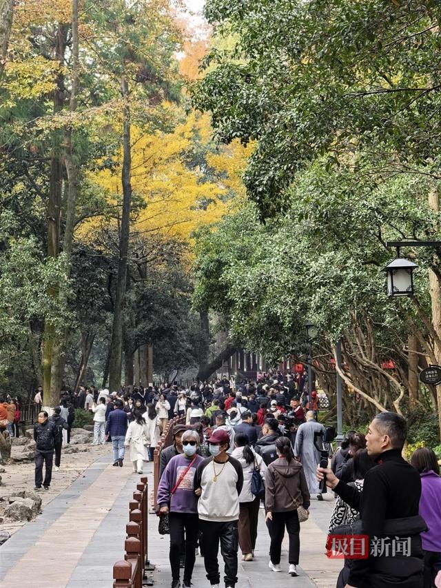灵隐寺免费开放首日预约3.15万人