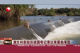 澳大利亚经历该国有记录以来最热冬日视频封面