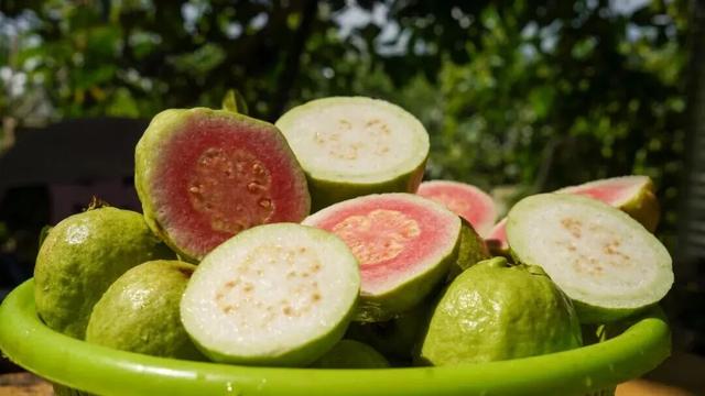 南宁冬季水果采摘全攻略 | 东北老铁、西北家人，告别猫冬！来南宁实现“水果自由”