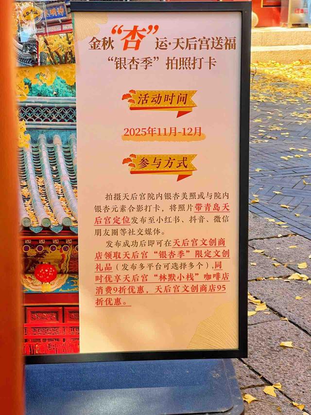 金秋“杏”运至！青岛市城市文化遗产保护中心“银杏季”主题活动开启