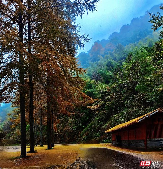 岁暖时刻丨奉嘎山：一座会呼吸的山，把人间烟火酿成了诗