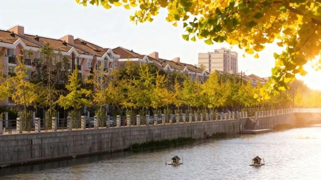 落叶、麦田、银杏……快来收藏这份秋日漫步地图