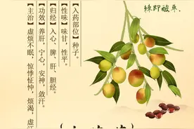 诗经里的中药第2辑——酸枣 乌蔹莓图片