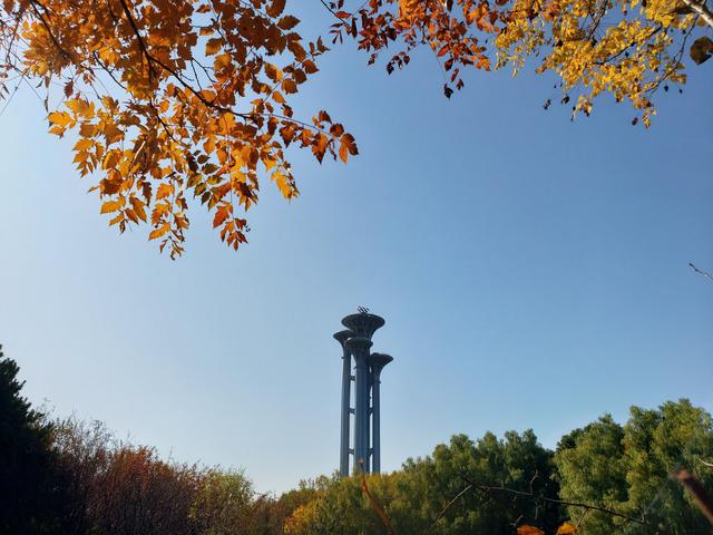 秋天最后一个节气来了，北京到底有多少种颜色？