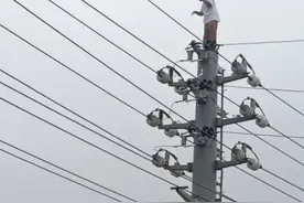网传男子骑车未戴头盔被查，爬上电线杆顶，消防：已被救下，未受伤图片