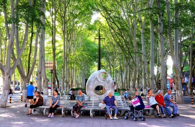 神都风物｜有一种深秋，叫西苑路