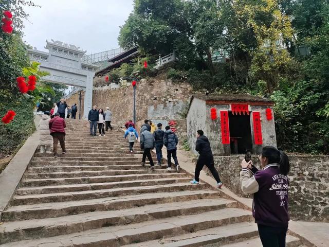 北部湾“18岁的海鲜”回来了！防城港、北海、钦州开海活动超全攻略看这篇→