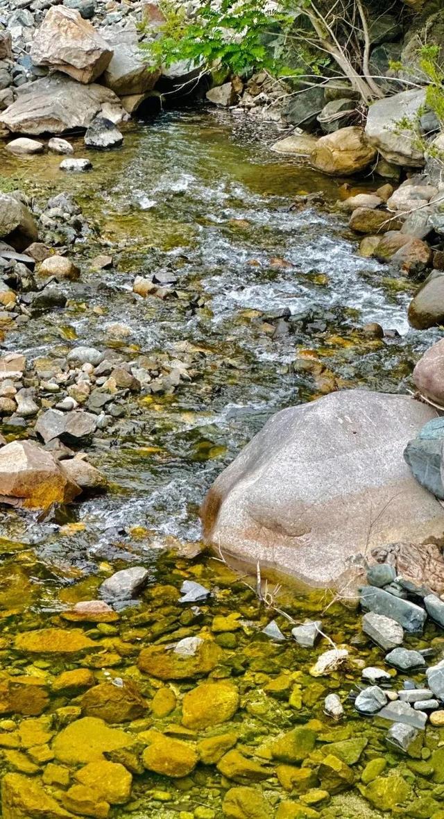豫见两山 绿色答卷丨生态之旅——打卡“生物多样性魅力城市”南阳