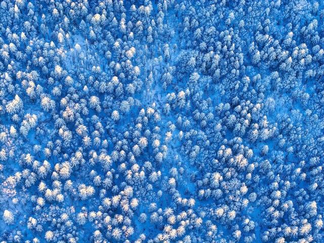 视觉丨长白山色惹人醉