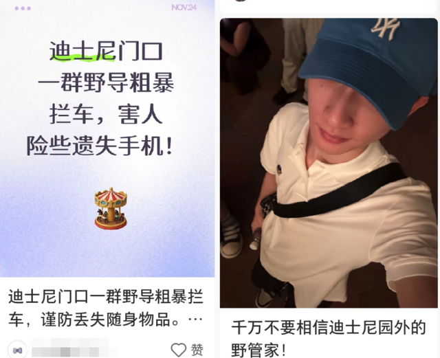 “野生”带玩管家出没迪士尼，从日赚上千卷到350元！专家看到的却是500亿元“陪伴经济”……