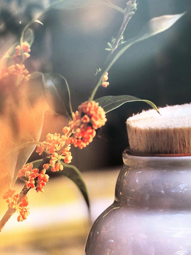 晚潮｜苏堤夜月与钱祠香雨