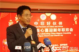 “中非好伙伴”新年联欢会活动在尼日利亚举办图片