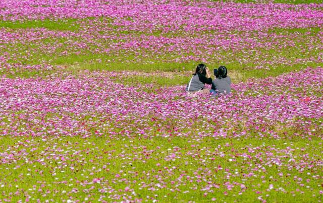 千万粉丝博主打卡中山花海：好美！