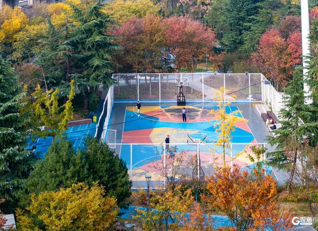 李村河畔，自然与欢乐交融