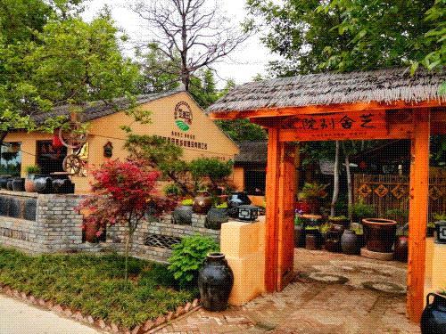 走！金秋到杨凌“村”游去