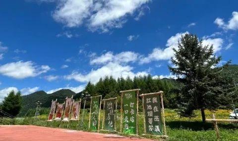 跟着灵兮共赴红池坝的夏日绮梦之旅！