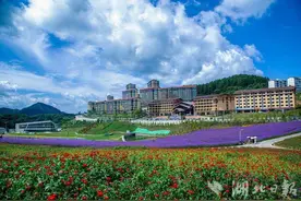 巴东绿葱坡：云端上的避暑胜地图片