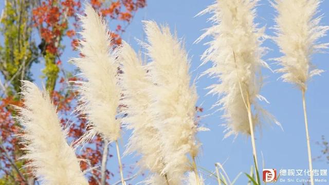 在上饶德兴享受独处的快乐，5个静谧空间超适合i人！