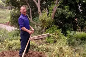 陈礼仁：为民服务“不打烊”图片