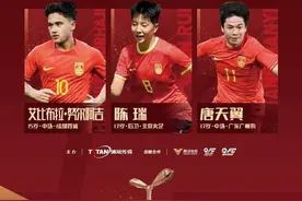 唐天翼被移出中国足球金童奖  点评：不要让“害群之马”毁了已经非常惨淡的中国足球！图片