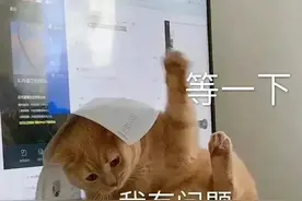 老师，你为什么当老师呀？图片