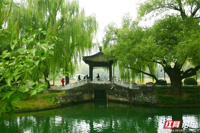 我眷恋的南方山水，原来都藏在了紫竹院的秋光里