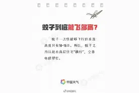 为什么被蚊子叮了会痒？关于蚊子的11个冷知识来啦图片