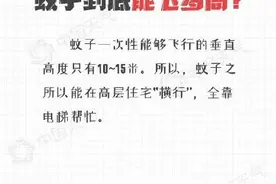为什么被蚊子叮了会痒？关于蚊子的11个冷知识来啦图片