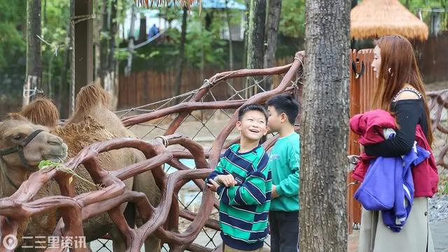免门票!邀您共赴瀛湖,畅游冬日水墨画卷