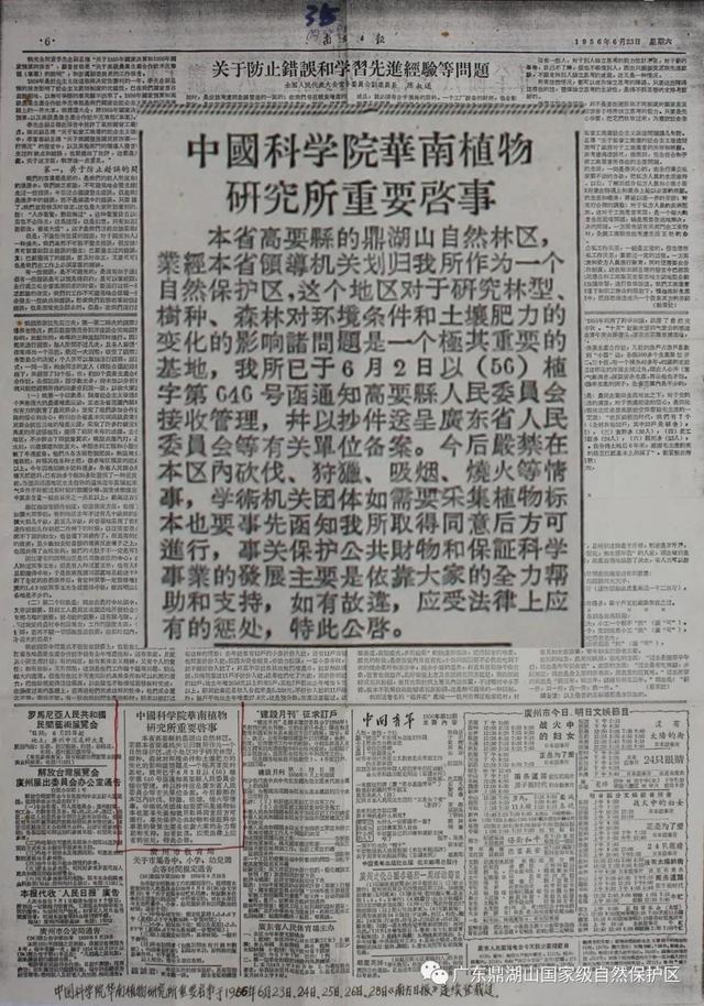 穿越400年原始森林，化身小小科学家！鼎湖山研学营火热报名中！