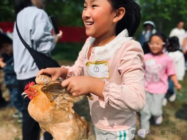 周末游弥勒│非遗+音乐+野趣！西三阿细跳月民族节邀您共赴夏日狂欢