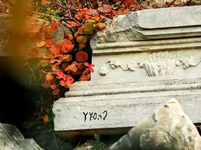 漫谈圆明丨圆明园的秋