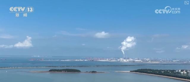 乘船追豚、红树林探秘、听潮观星……自然馈赠的惊喜燃动滨海旅游消费热力