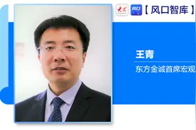 币震，避震·专访 | 东方金诚王青：稳增长政策对人民币汇率形成内在支撑图片