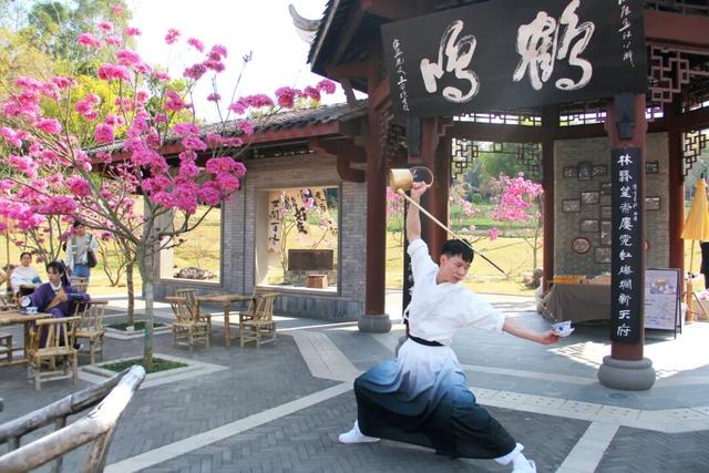 紫花风铃季赏花游玩超实用攻略！畅玩N种趣味体验~看这篇就够啦！