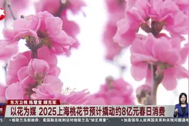 以花为媒 2025上海桃花节预计撬动约8亿元春日消费视频封面