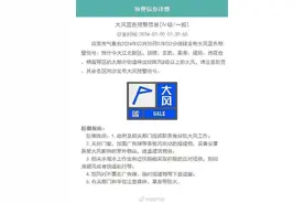 “初雷”炸裂登场！今晨南京出现2月罕见雷暴天气图片