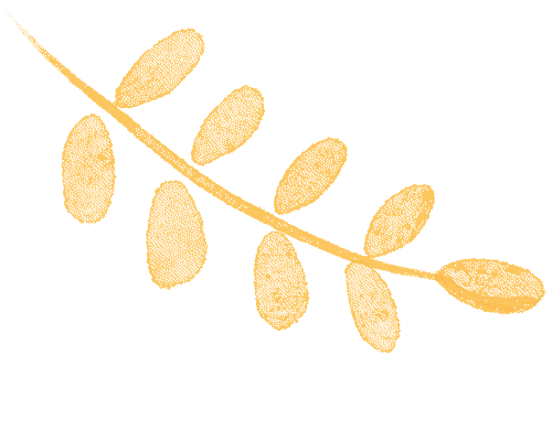 层林尽染赏秋时！宝山11月文旅活动清单，超多活动等你来打卡