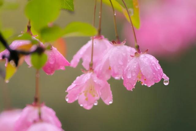 四时天工 扬州如画