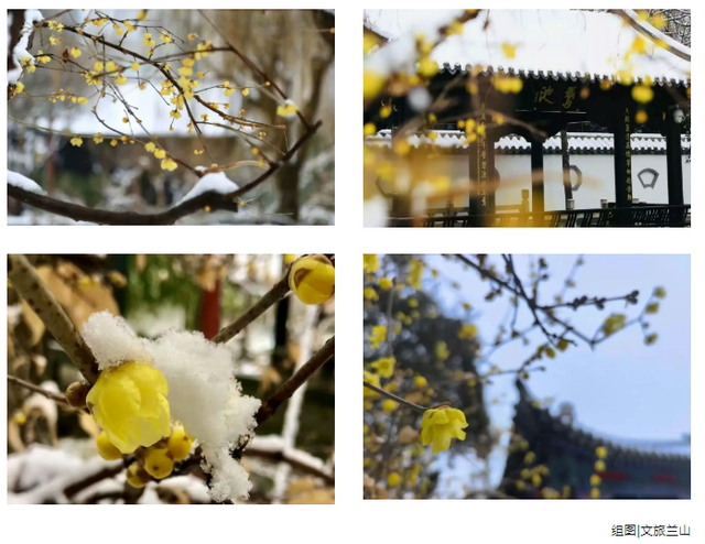 花开有时・四季有诗