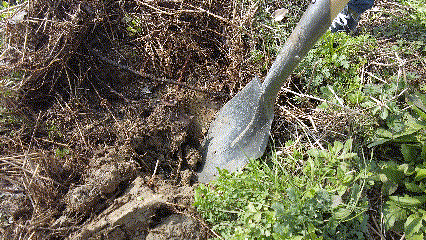 六万株樱花正在开放！就在杭州！这里真的美到不行……