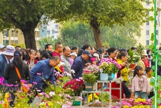西宁哪里的秋景最好看？