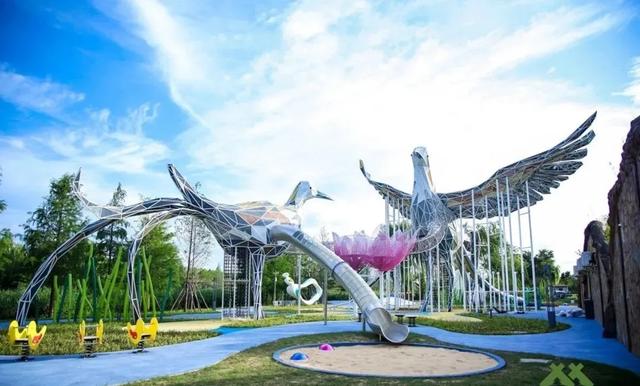 上海人的“宝藏后花园”全面升级啦！水上森林玩出新花样，这份攻略请收好！