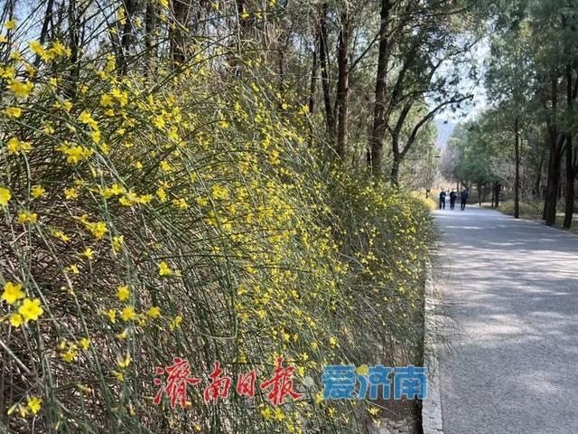 走进公园 一起遇见春天