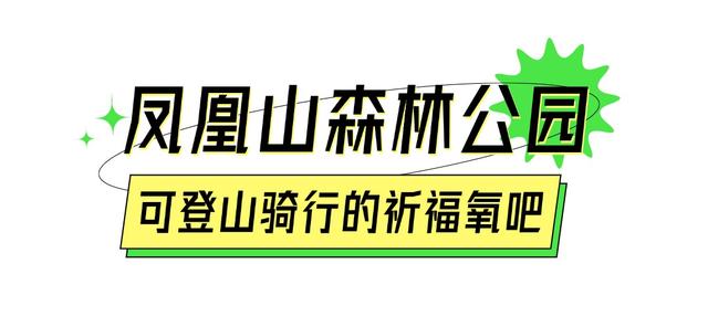 我的宝藏城区：宝安十一假期打卡不完全攻略