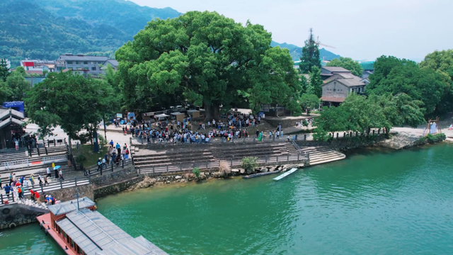 省里点名推荐，莲都+1！