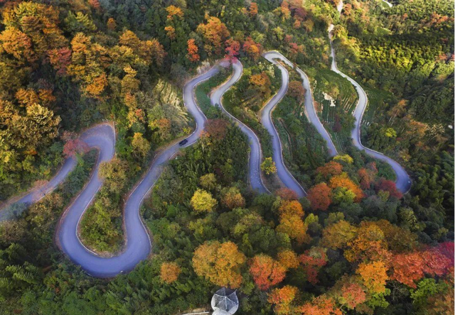 山水织梦演绎“茶稻生金”，全域风貌蝶变“富春山居”